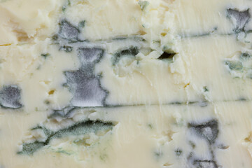 French blue cheese texture close up with mold