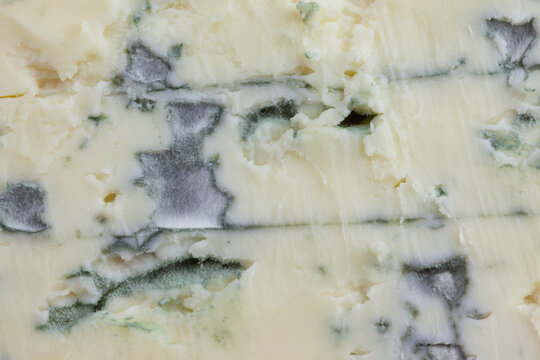 French blue cheese texture close up with mold