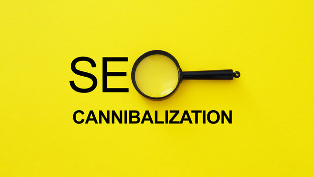 SEO Cannibalization Problem - Keyword Overlap and Ranking Conflict Causing Traffic Loss, Search Optimization Audit and Website Performance Analysis