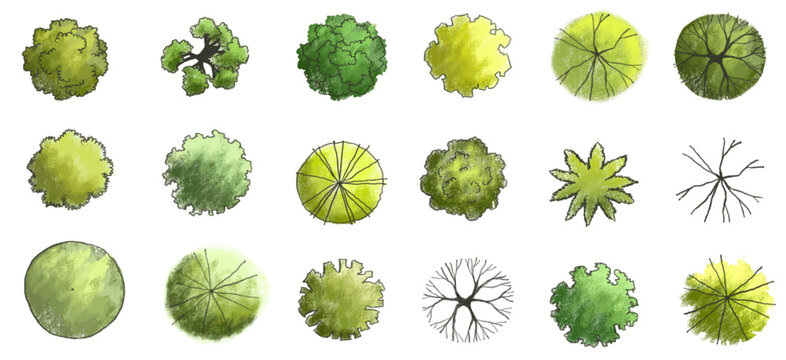 Vector set of Top view green tree for outdoor plan or map and architecture drawing, elements for environment and garden ,botanical elements ,Blooming flowers in spring,tropical plants element