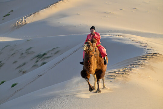 Nomadic man riding Bactrian camel in Mongolian Gobi Desert sand dunes