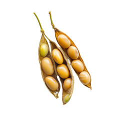 Realistic vegetable soybean pods with leaves for farm market graphics high resolution transparent png photo