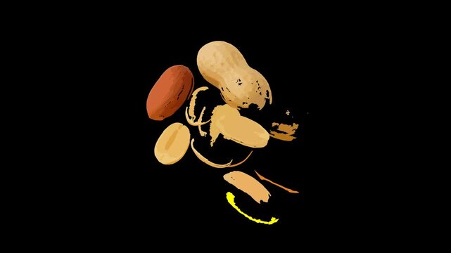 Peanuts In Shell And Shelled On Black Background snack