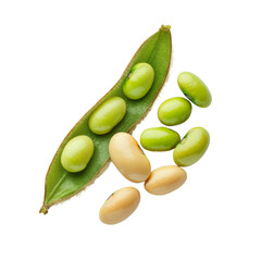 Vibrant green legume pods for botanical and healthy eating themes high resolution transparent png photo