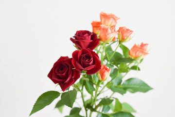 赤とオレンジのばら