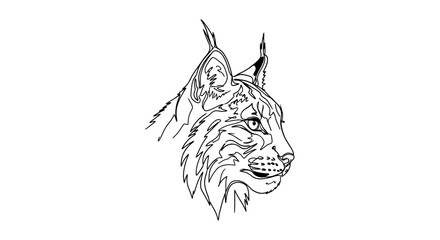 Obraz premium Lynx Head Line Art Drawing, Wild Cat Profile, Elegant Sketch