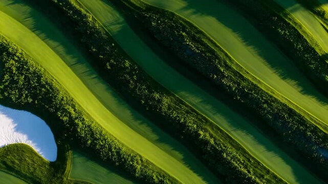 57Top-down close-up of striped golf course turf, morning sun casting gentle light, rich green hues and detailed grass texture, showcasing perfectly maintained recreation area