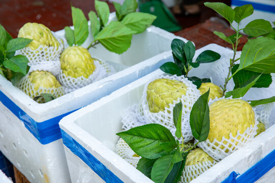 Fresh cherimoya fruits packed in insulated boxes with protective netting and green leaves, displayed at a market for sale. outdoor market in Southeast Asia