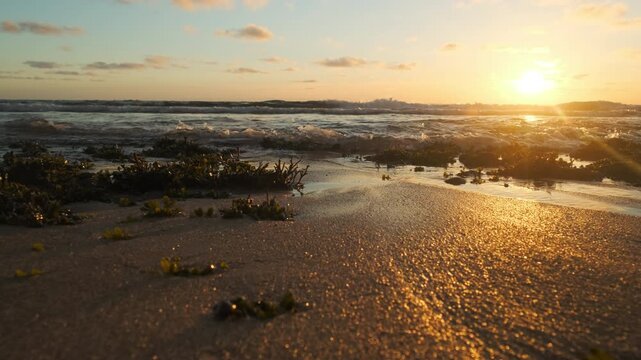 Slow motion - rolling ocean waves to the shore while sunset during tide.  Beautiful natural landscape with sandy beach  and green plants during low tide. Beautiful wild nature.  Sun over horizon.
