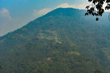 Lush green mountain hills with dense forest, scenic natural landscape in Sikkim.