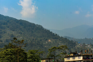 Lush green mountain hills with dense forest, scenic natural landscape in Sikkim.