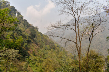 Lush green mountain hills with dense forest, scenic natural landscape in Sikkim.
