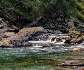 Mountain river flowing over rocks, clear green water, serene forest landscape in Sikkim.