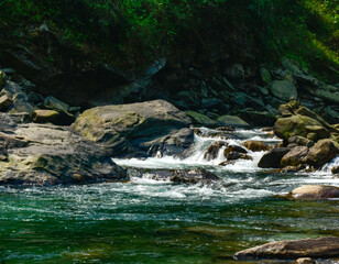 Mountain river flowing over rocks, clear green water, serene forest landscape in Sikkim.
