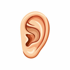 Cartoon illustration of a human ear, showing the anatomical structure.