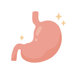 Healthy Human Stomach Anatomy Illustration with Sparkle