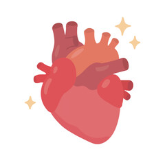 Healthy Human Heart Anatomy Illustration with Sparkles