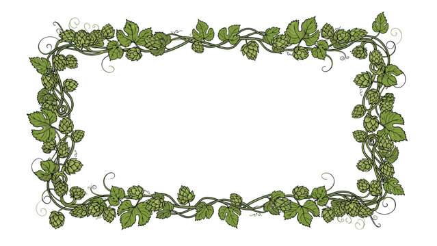 Rectangular frame made of intertwined green hop vines with leaves and cones, hand-drawn in a vintage style on white background.