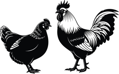 Detailed black silhouette of a rooster and a hen standing together isolated on white background for poultry farming agricultural and rural landscape design concepts © PAMILA