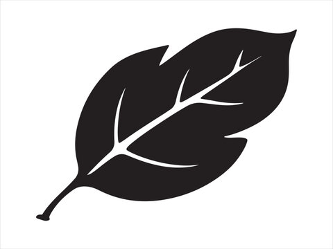 Basil leaf oval smooth silhouette vector, Silhouette basil leaf plant simple black vector illustration