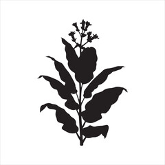 Tobacco Plant Silhouette Vector, Tobacco Tree Plant Silhouette Icon © Chan
