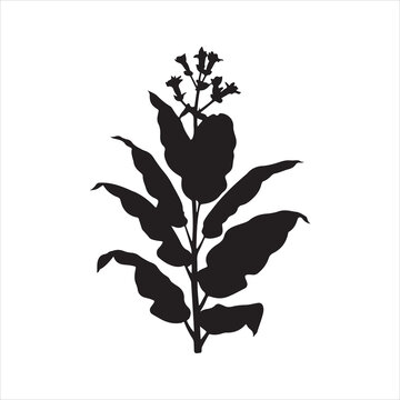 Tobacco Plant Silhouette Vector, Tobacco Tree Plant Silhouette Icon