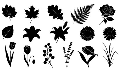 Botanical leaf and flower silhouettes black vector set