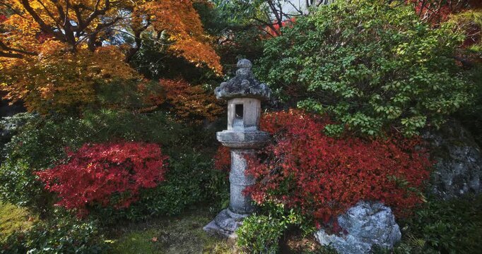 Ancient stone lantern surrounded by autumn trees and plants - smooth, slow dolly in