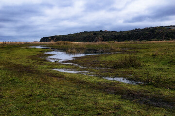 Coastal Wetland Landscape with Dramatic Cloudy Sky and Natural Water Reflections