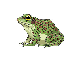 Fototapeta premium Vividly illustrated green and brown spotted frog, side view, large yellow eyes, light green belly, on a transparent background with ample copy space, flat design vector art. Concept for graphic