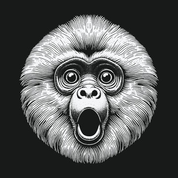 Surprised Monkey Face Engraving: Detailed Illustration of Shocked Expression.