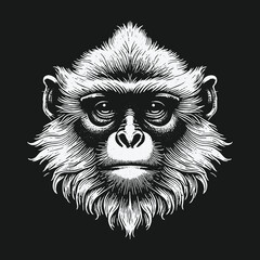 Obraz premium Detailed Monkey Portrait: A Study in Black and White.