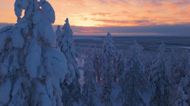 Plan a&eacute;rien en drone de la Laponie en Finlande proche du cercle polaire en arctique au coucher de soleil