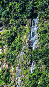 caminando por la selva peruana