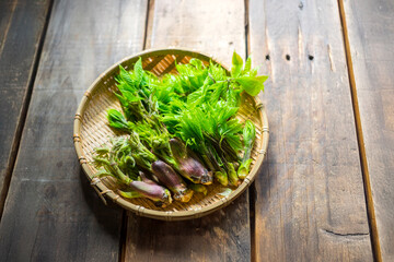 たらの芽とコシアブラ