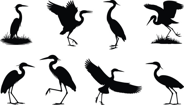 Wild heron bird silhouette set, different egret and stork position