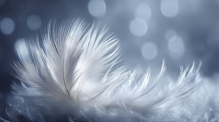 Obraz premium Close-up of a white feather with soft, delicate barbs against a blurred blue background featuring bokeh light effects.