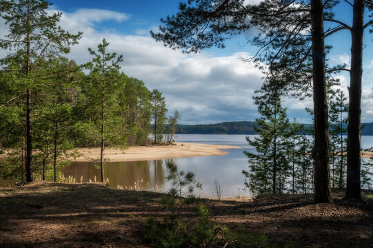 View of the Kama River from a pine forest on a sunny summer day.