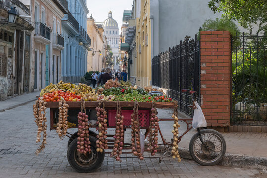 Fruits and vegetables for sale on a bicycle stand in the center of Old Havana, golden Capitolio dome and colorful colonial building facades in the background. Selective focus.