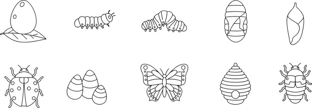 Set of hand drawn insect and nature icons isolated on white background vector illustration