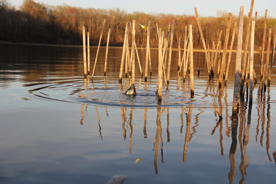 Crappie fishing with bobber