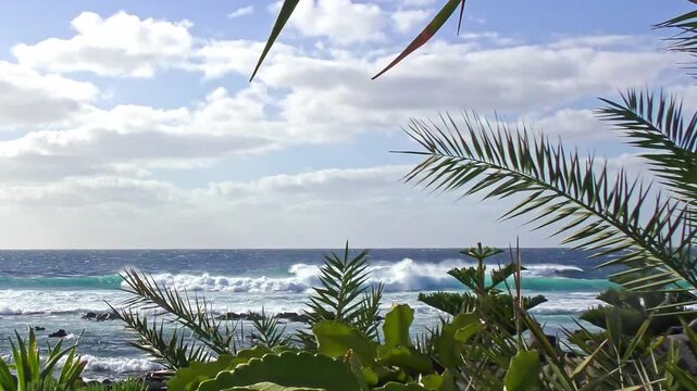Paradisiacal view of the sea with exotic plants and majestic waves, sea, beach, travel, recreation, relaxation, vacation, Canary Islands, Lanzarote, horizon, coastal landscape
