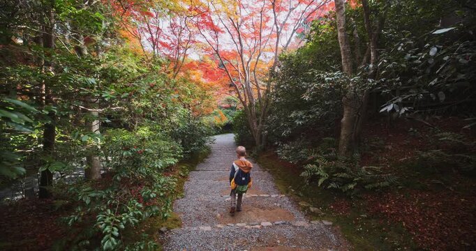 Little boy with backpack walking down stone steps with beautiful autumn trees above - wide, following shot
