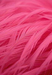 Fototapeta premium Close up macro shot of soft pink plumes creating a delicate, flowing texture background for abstract design work ,blush ,velvety ,beautiful