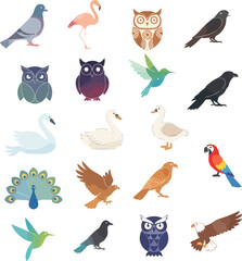 Obraz premium Flat Bird Collection Vector Set – Owl, Eagle, Duck, Swan, Crow, Parrot, Hummingbird, Peacock Isolated Illustration