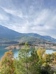 Fototapeta premium Mountainous forest landscape. Mountain road forest. coniferous trees and yellow foliage. High quality 4k footage