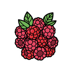 Cluster of Raspberries with Leaves.