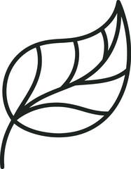 Simple outline drawing of a single smooth leaf with visible central vein structure on a plain background.