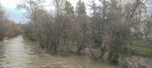 Paisaje fluvial de un río caudaloso bordeado por árboles frondosos sin hojas en un día nublado...