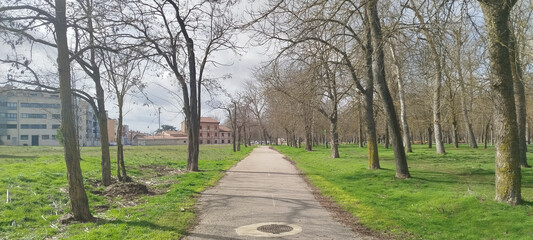 Camino pavimentado en un parque urbano con &aacute;rboles y edificios al fondo en Burgos, Espa&ntilde;a